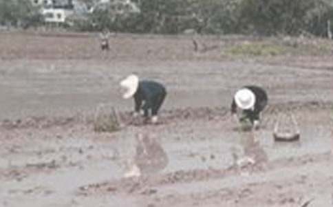 �r��Ȥ�²�������600��