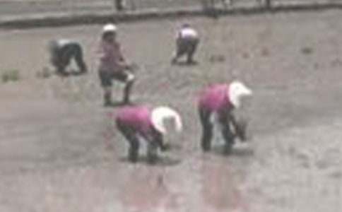 ��������400�֣�ͨ��30ƪ��