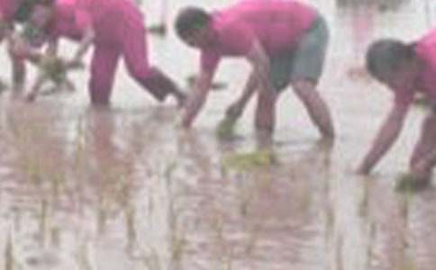 �����еĲ�������450��