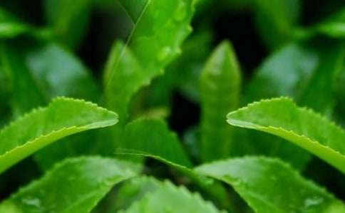 �ɲ��~400�����ģ����x35ƪ��