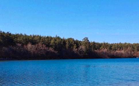 �L��ɽ��ӛ����200�֣�ͨ��40ƪ��