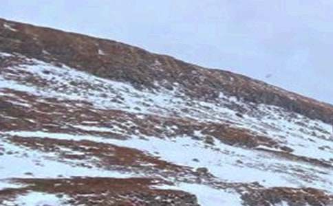 �L��ɽ��ӛ���ģ����x5ƪ��