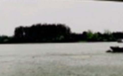 �����T���L������300��3ƪ