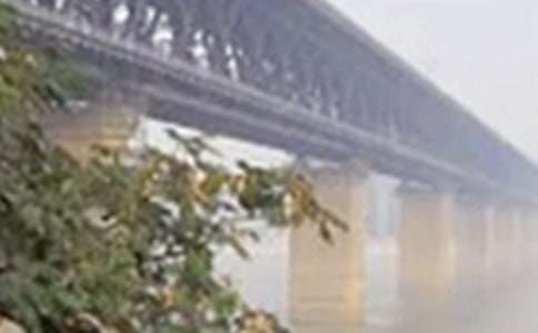 �������L���������