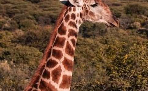 �L�i¹���D��Ԓ���ģ����x50ƪ��