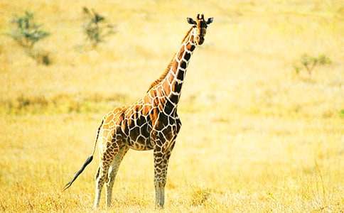 �L�i¹�Ąe������400��