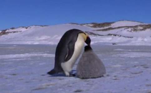 ��Խ�����Đ����ģ����x24ƪ��