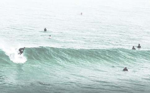 沖浪作文600字五篇