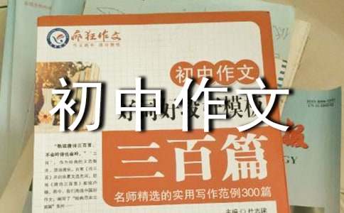 ӛ�������Ƥ��-��������