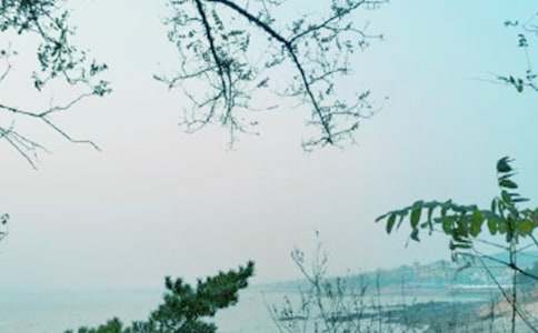 ���L������