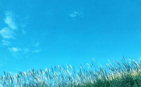 ��һ�|���L����600�֣�ͨ��15ƪ��