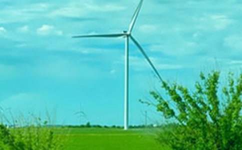 �P���茑���L������