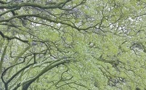 ���ݴ��L�������~�Z