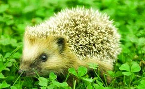 ��⬺͞���ِ��