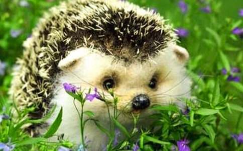 ��⬺͞���ِ������350��