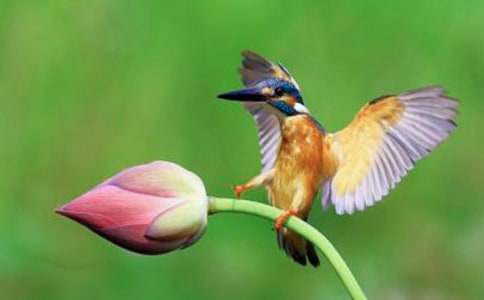 ���B�Ƴ�ͯԒ����