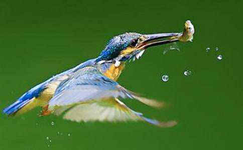 ���P���B���ģ����x27ƪ��