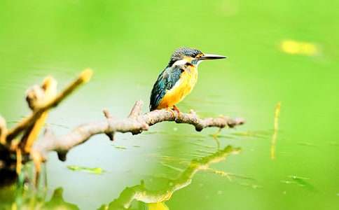 ���B����400�֣�ͨ��21ƪ��