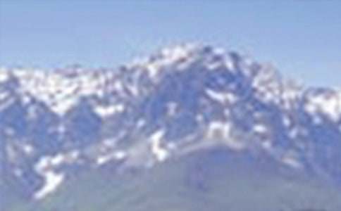 �P�ڴ�ɽ����500����ƪ