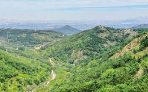 �߳���ɽ�ҵĉ������ģ����x20ƪ��