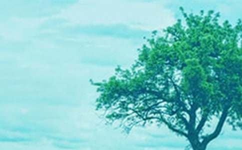 ������䃞����������