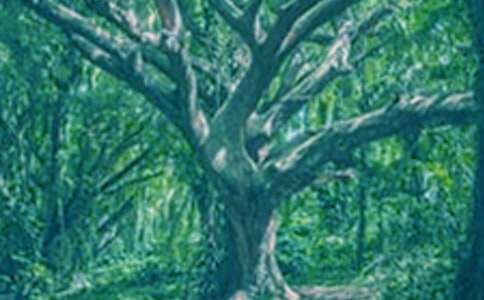 ������������600��