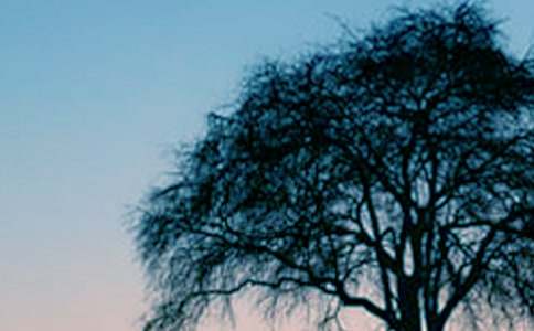 ��������������ģ�ͨ��108ƪ��