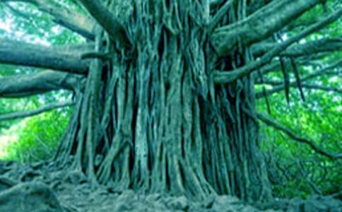 �����еĴ������(ͨ��8ƪ)