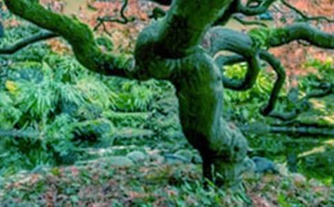 ����һ�ô�����ģ����x43ƪ��