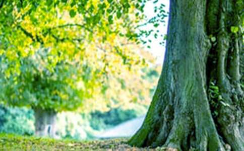 �����������������