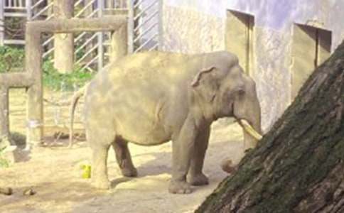 �����T������ͯԒ���ĺϼ�8ƪ