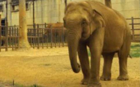 ����ͯԒ����600�ֺϼ�10ƪ