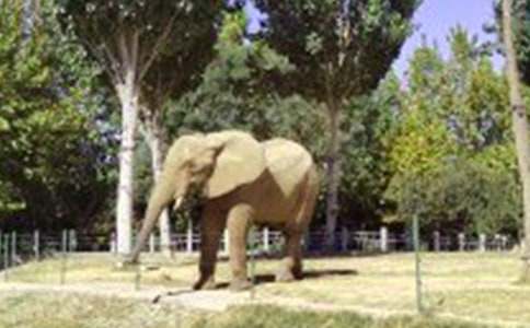 �����T������ͯԒ����32ƪ