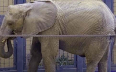 Λρ�����������ă�ƪ