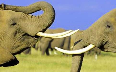 �����x������ͯԒ���ĺϼ�ʮƪ