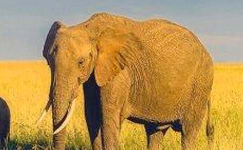 �����e�`�Ĵ�������