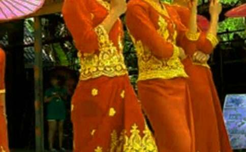 傣族的民風民俗作文(通用16篇)