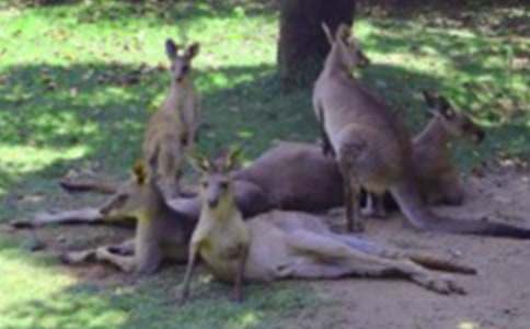 С��C�ϴ����ӽ̰���ͨ��8ƪ��