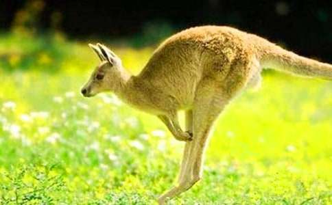 ��������400��7ƪ