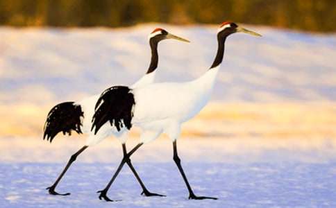 �P�ڵ���Q����600����ƪ