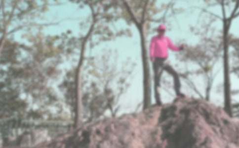 �������ɽ����800�֣����x21ƪ��