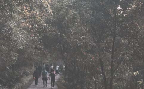 �Ե�ɽ�����}������