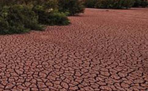 ��������������800�֣����x6ƪ��