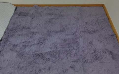 地毯下的小精靈-想象作文600字