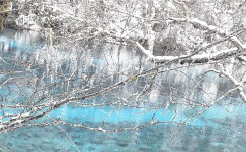 ӛ���еĶ�������