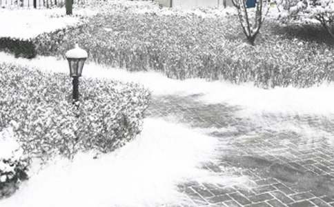 �������L������250��