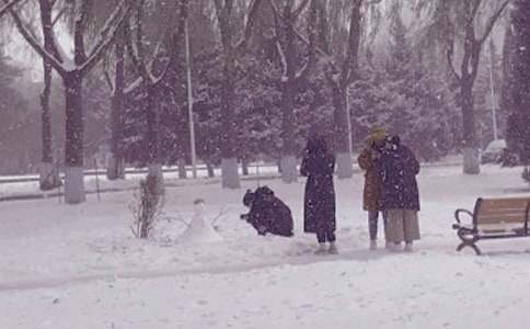 冬日的景色學生作文