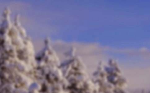 �����Ķ�������1500��