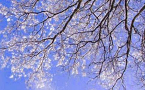 ���P������L����10ƪ