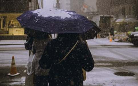 �P�ڶ�����V�Z290��